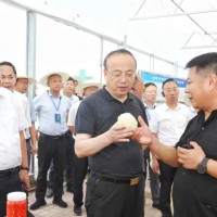 安徽省政協(xié)副主席、安慶市委書(shū)記張祥安于8月7日上午帶領(lǐng)著全市七縣三區(qū)主要領(lǐng)導(dǎo)蒞臨潛山市壽光模式智慧農(nóng)業(yè)產(chǎn)業(yè)示范園項(xiàng)目調(diào)研指導(dǎo)工作并召開(kāi)現(xiàn)場(chǎng)會(huì)議