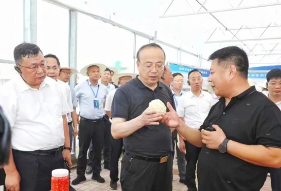 安徽省政協(xié)副主席、安慶市委書(shū)記張祥安于8月7日上午帶領(lǐng)著全市七縣三區(qū)主要領(lǐng)導(dǎo)蒞臨潛山市壽光模式智慧農(nóng)業(yè)產(chǎn)業(yè)示范園項(xiàng)目調(diào)研指導(dǎo)工作并召開(kāi)現(xiàn)場(chǎng)會(huì)議