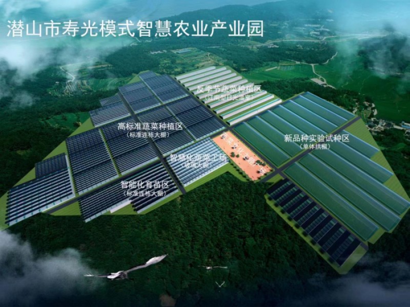 潛山市壽光模式智慧農業(yè)產業(yè)園項目