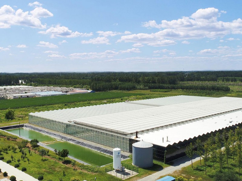 園區(qū)設(shè)計