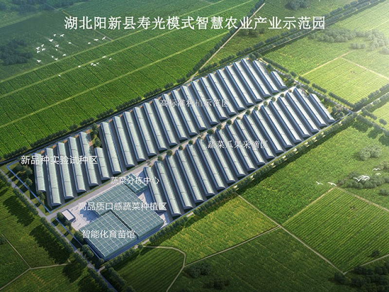 陽新縣壽光模式智慧農業(yè)產業(yè)示范園